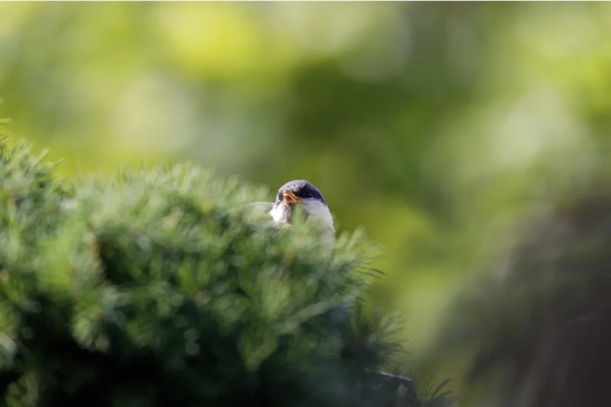 Погода на 27 марта: в Астане гололедица, на юге — до +28