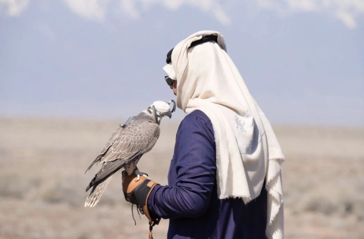 Краснокнижных балобанов выпустили в дикую природу Казахстана