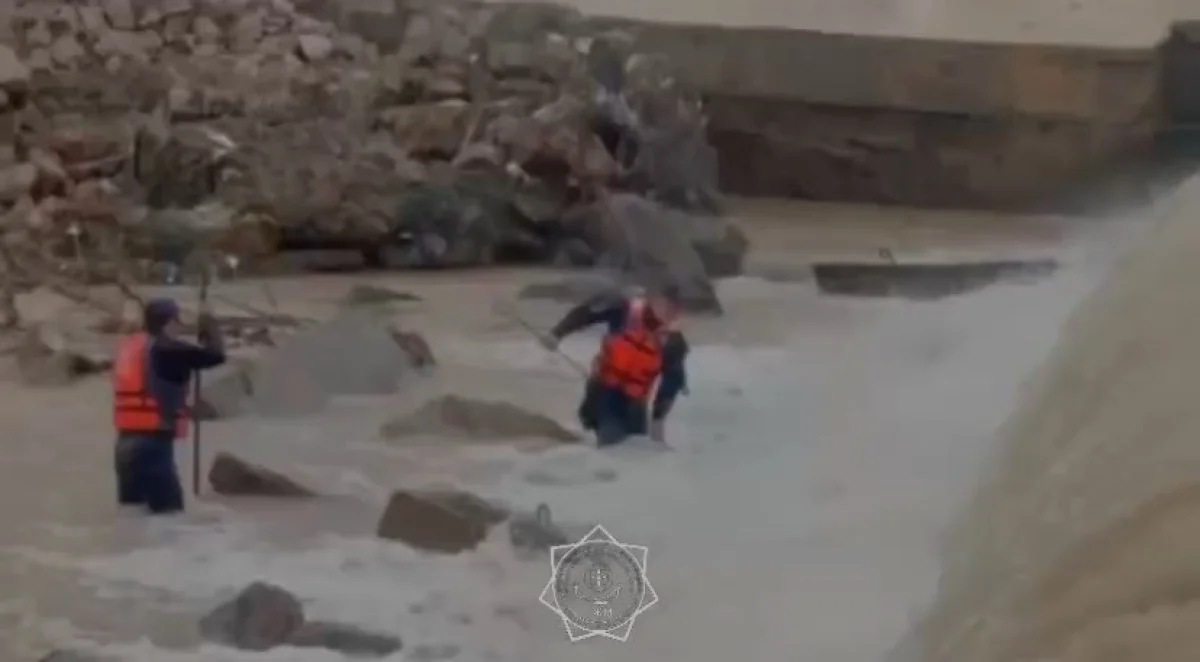 Поиски утонувшего ребёнка в Туркестанской области: в МЧС рассказали подробности