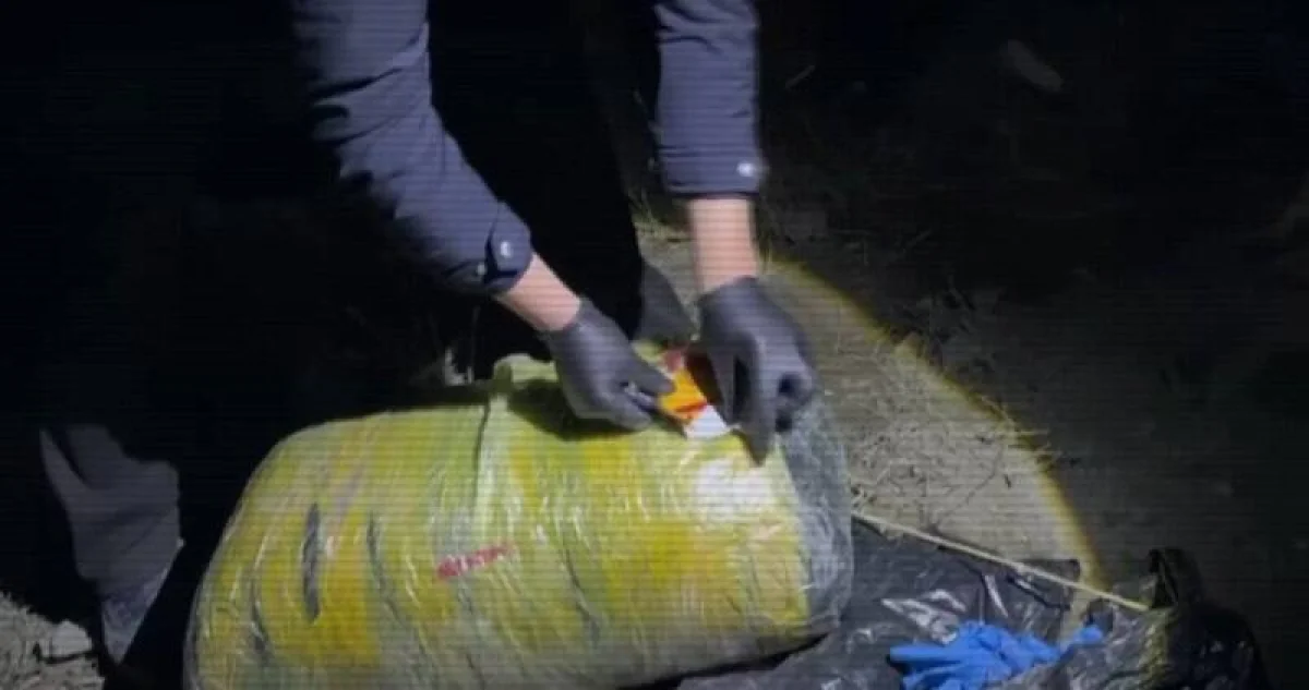Крупный наркоканал перекрыт в области Ұлытау: изъято более 300 кг марихуаны (ВИДЕО)