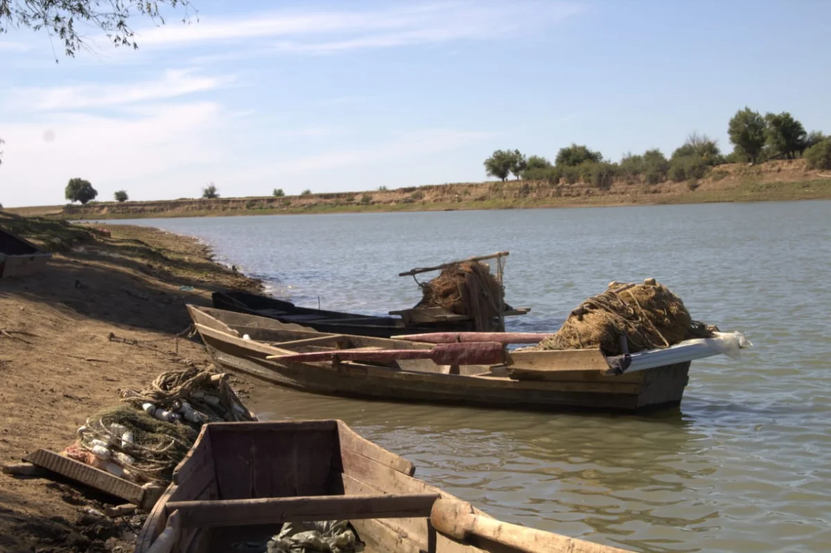 Арал-Сырдария бассейнінде балық аулауға шектеу қойылды