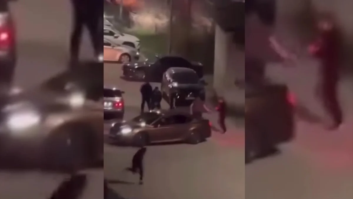 Конфликт между группой мужчин закончился выстрелом в Алматинской области