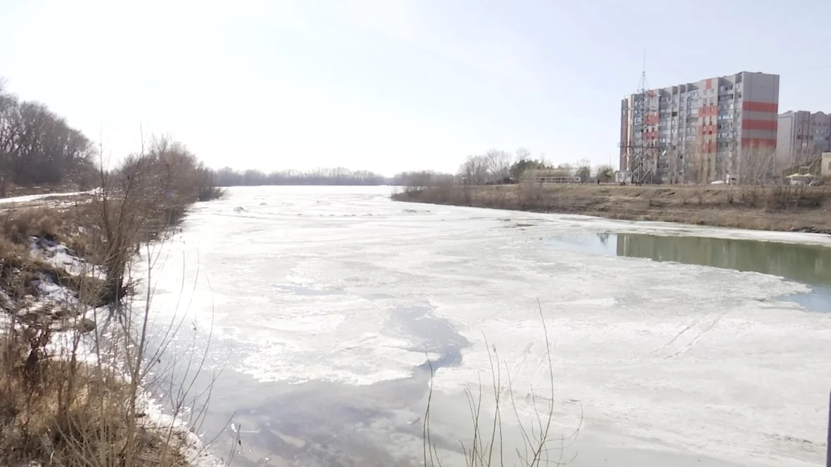 Убил жену из-за бизнеса: жителя Павлодара приговорили к 15 годам тюрьмы