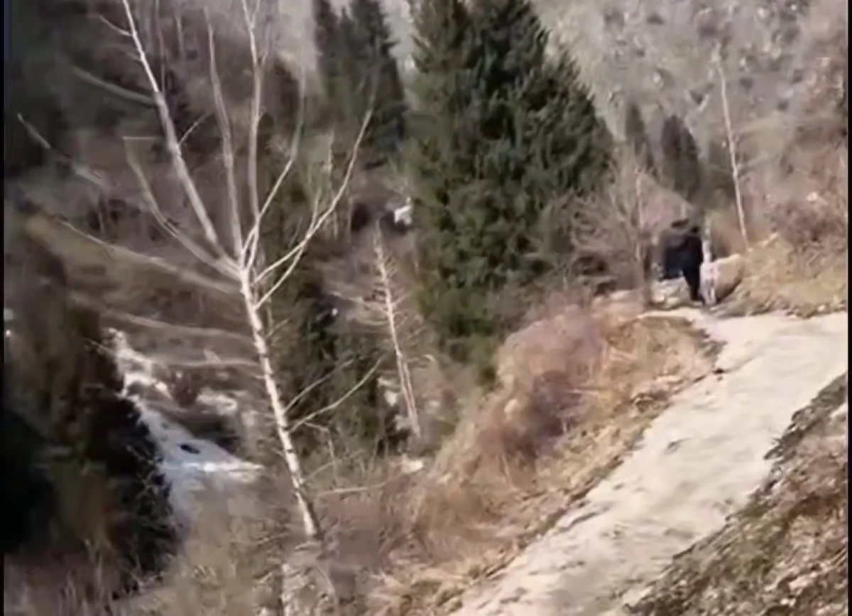 Прогулка обернулась спасательной операцией: туристки не смогли спуститься в Алма-Арасане