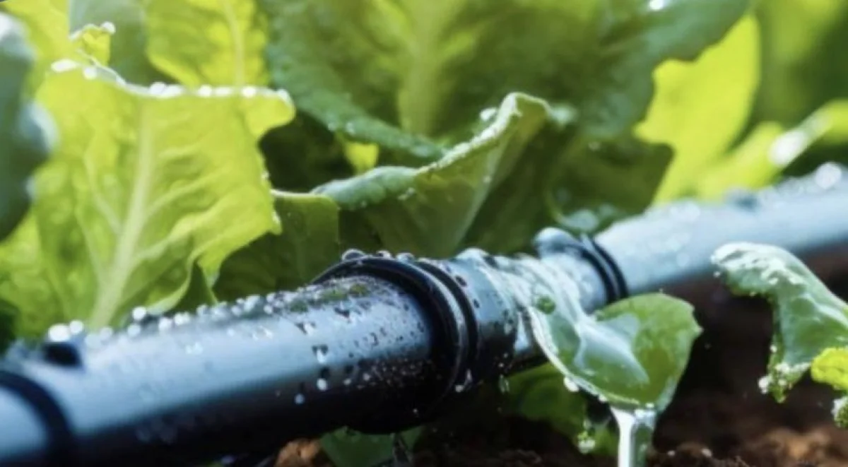 В Казахстане в пять раз ускорили внедрение водосберегающих технологий