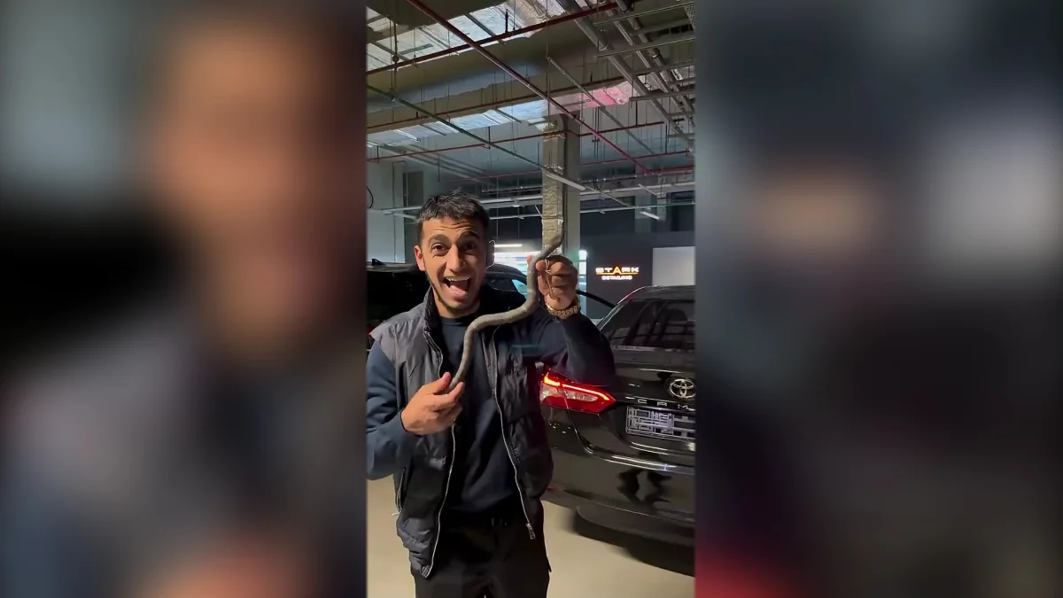 Қазақстанда жыл басынан бері 400-ден астам пранкер жауапқа тартылды