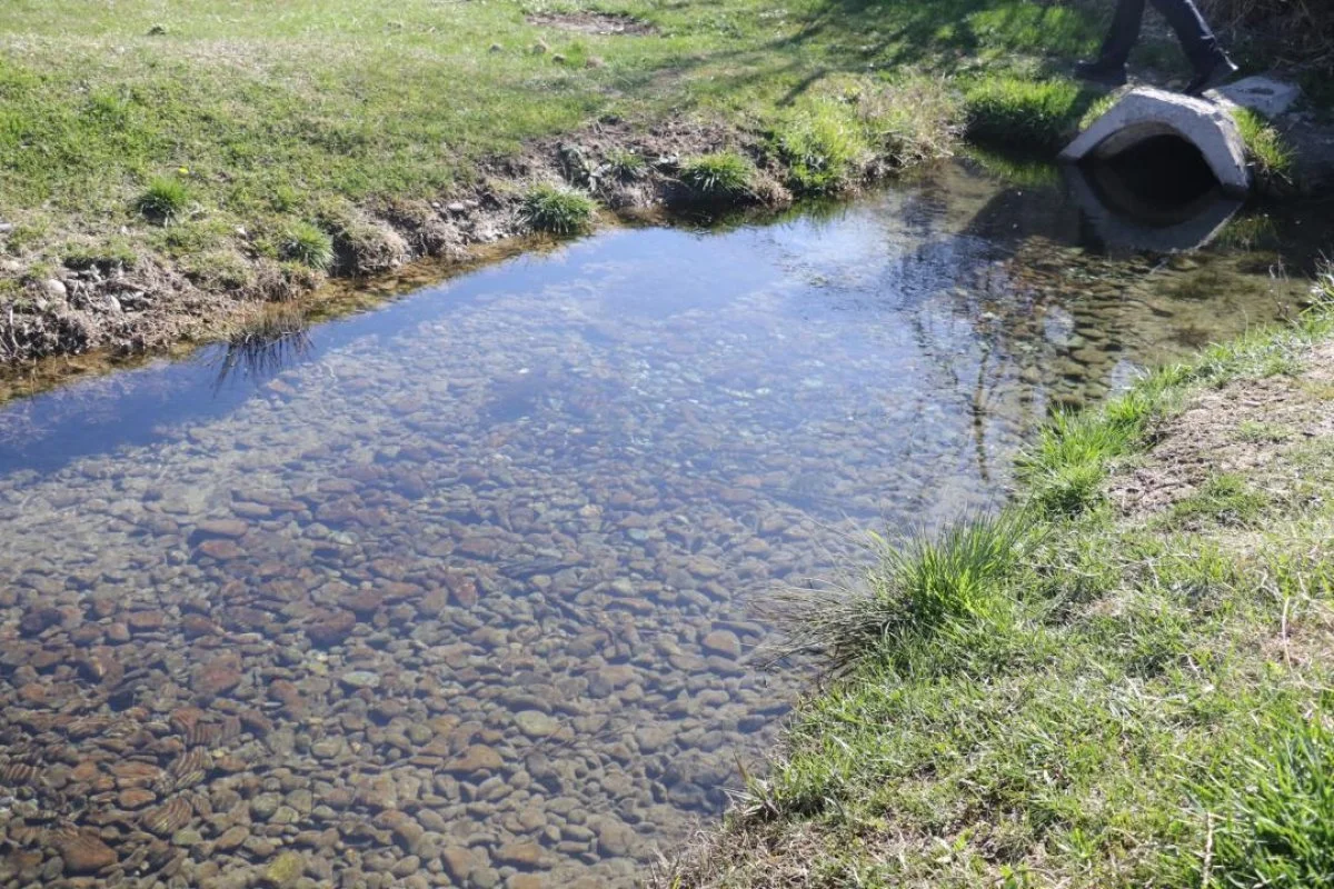 «Мөлдір бұлақ» республикалық экологиялық акциясы: мыңдаған қазақстандық бұлақтарды тазартуға шықты