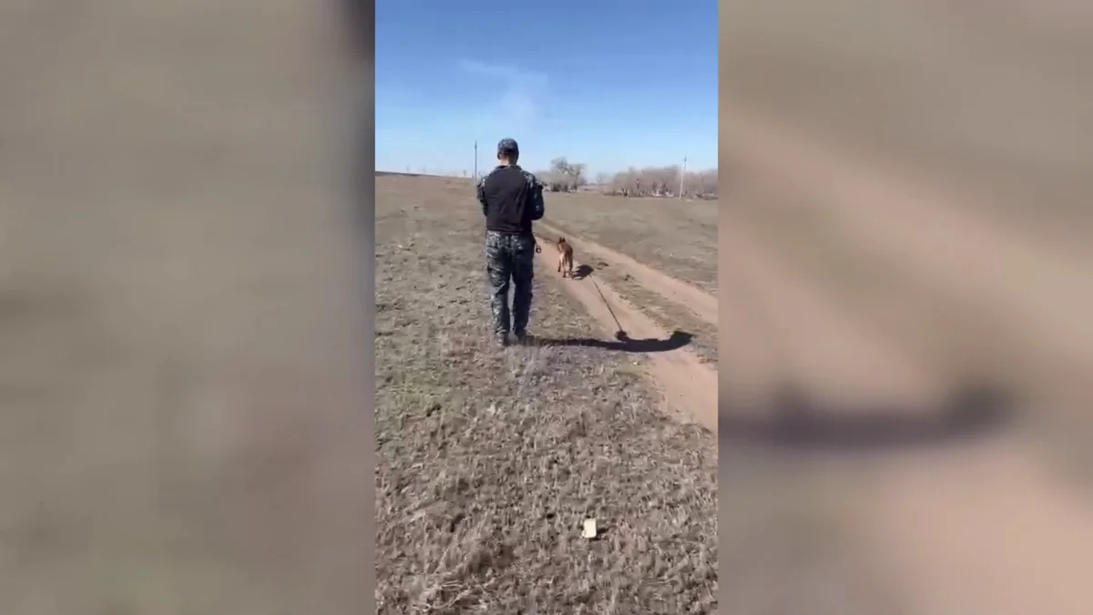 Қарағанды облысында  жоғалып кеткен бала табылды