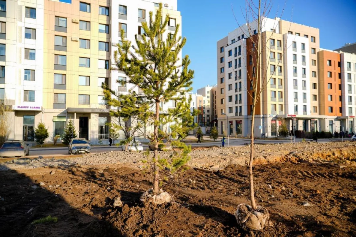 Миллион деревьев и кустарников высадят в Астане