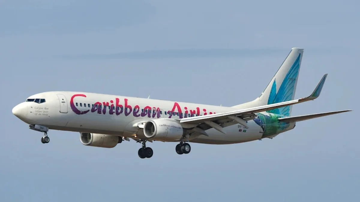 Ребёнок родился на борту самолёта по пути в Нью-Йорк