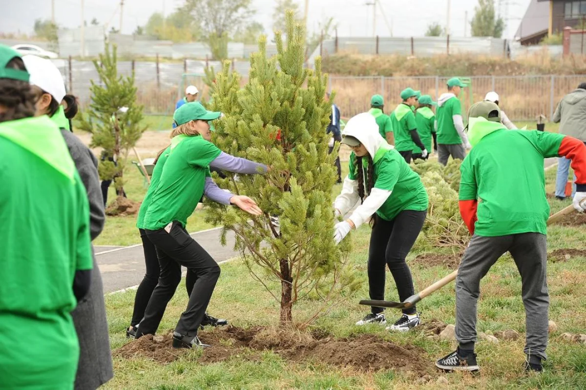 «Таза Қазақстан»: Алматыда 2026 жылы 550 мыңнан астам жасыл желек егіледі
