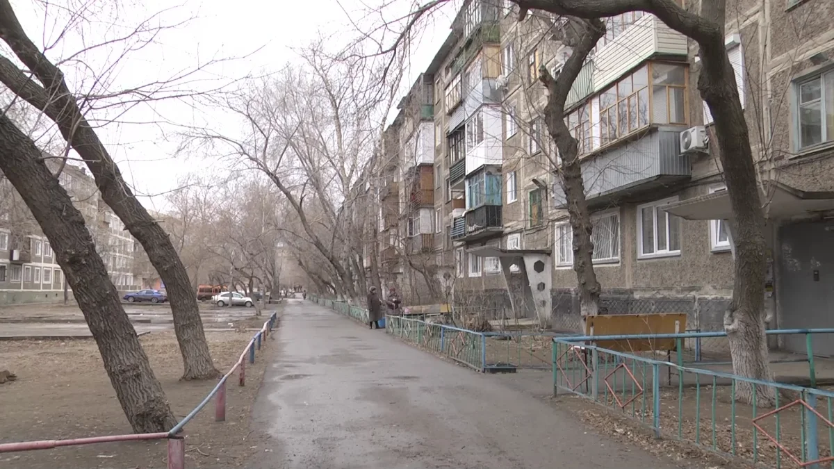 Павлодарда 50 жастағы ер адам мысықты құтқарам деп өзі мерт болды