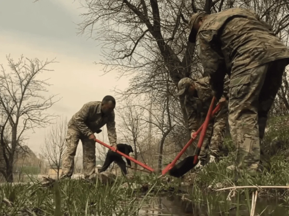 «Мөлдір бұлақ»: очищены источники вдоль реки Сайрамсу