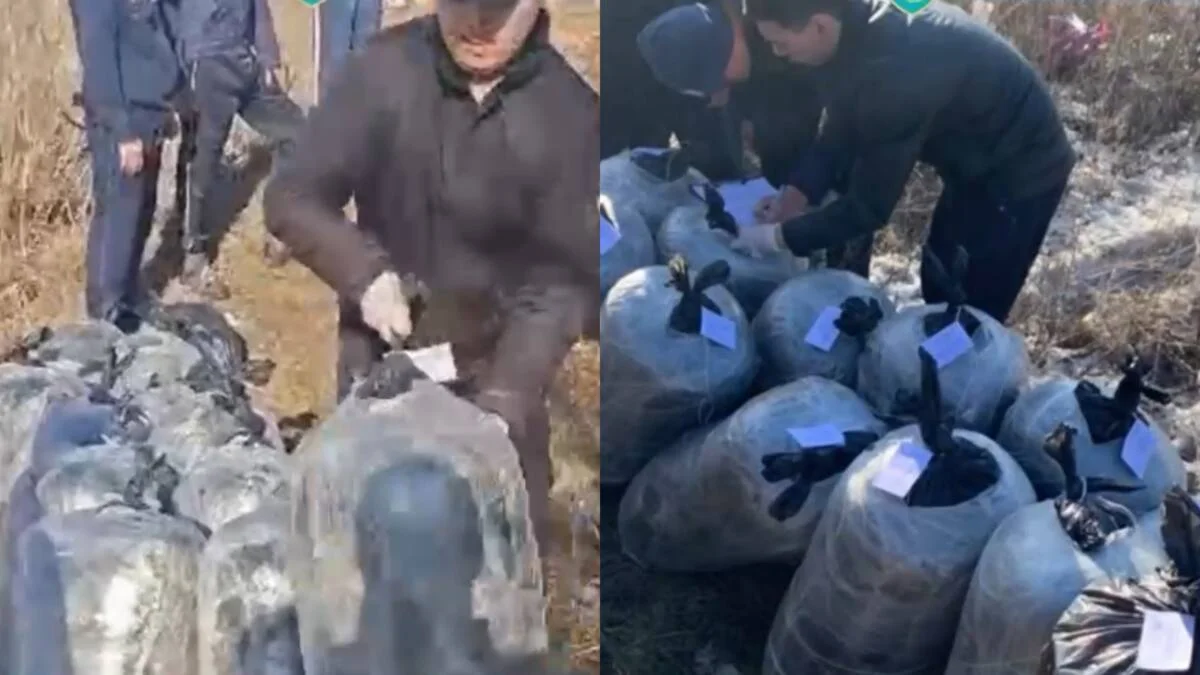 Тайник с 308 килограммами наркотиков нашли у павлодарца