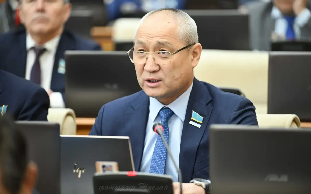 "Әр бір сағат сайын 5 адамға ит шабуылдайды"-Жаңбыршин