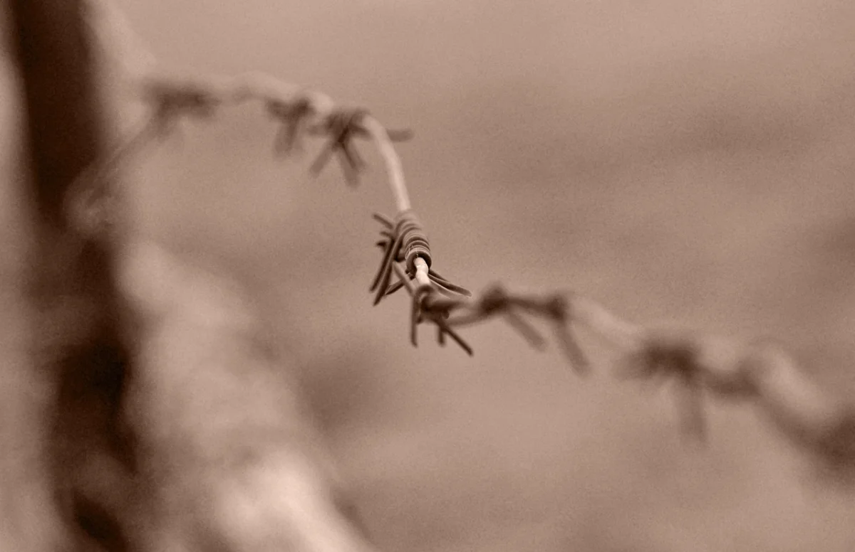 Начальник колонии в СКО осужден за мошенничество и взятку