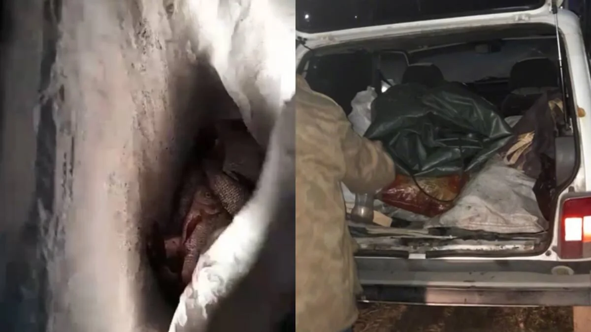 Павлодар облысында балық аулау қағидаларын бұзған жүргізуші жауапқа тартылды