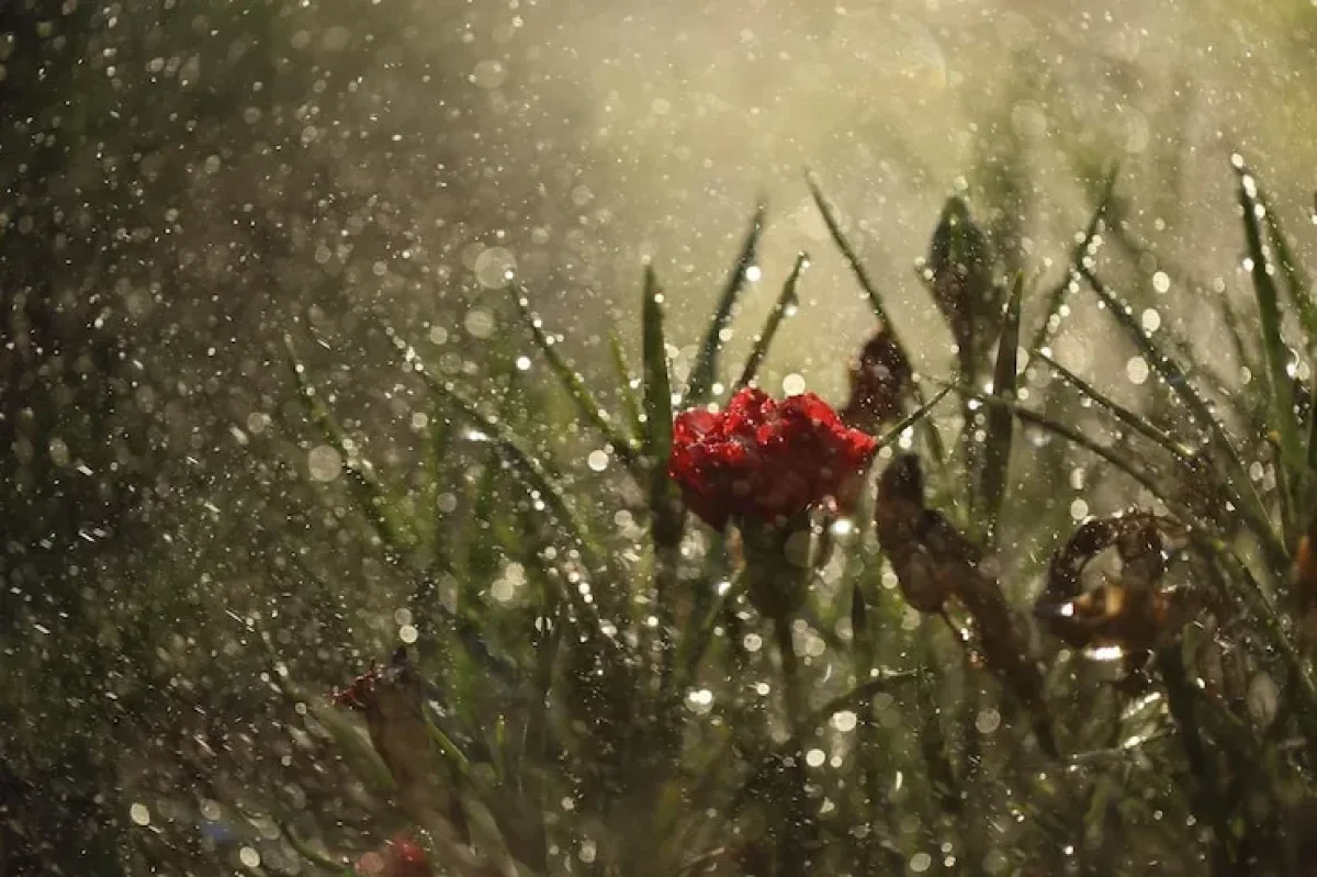 В Алматы гроза, в Шымкенте сильный ветер: погода в пятницу, 10 апреля