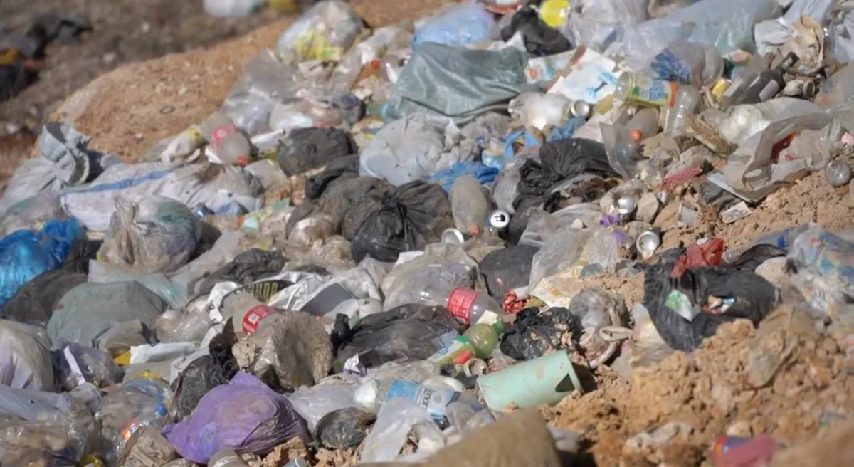 Тысячи свалок под снос: полиция развернула масштабную зачистку по всей стране