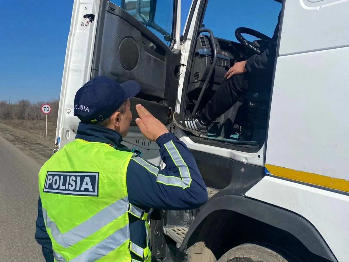 Дальнобойщика отправили за решетку за фальшивые номера в Костанайской области