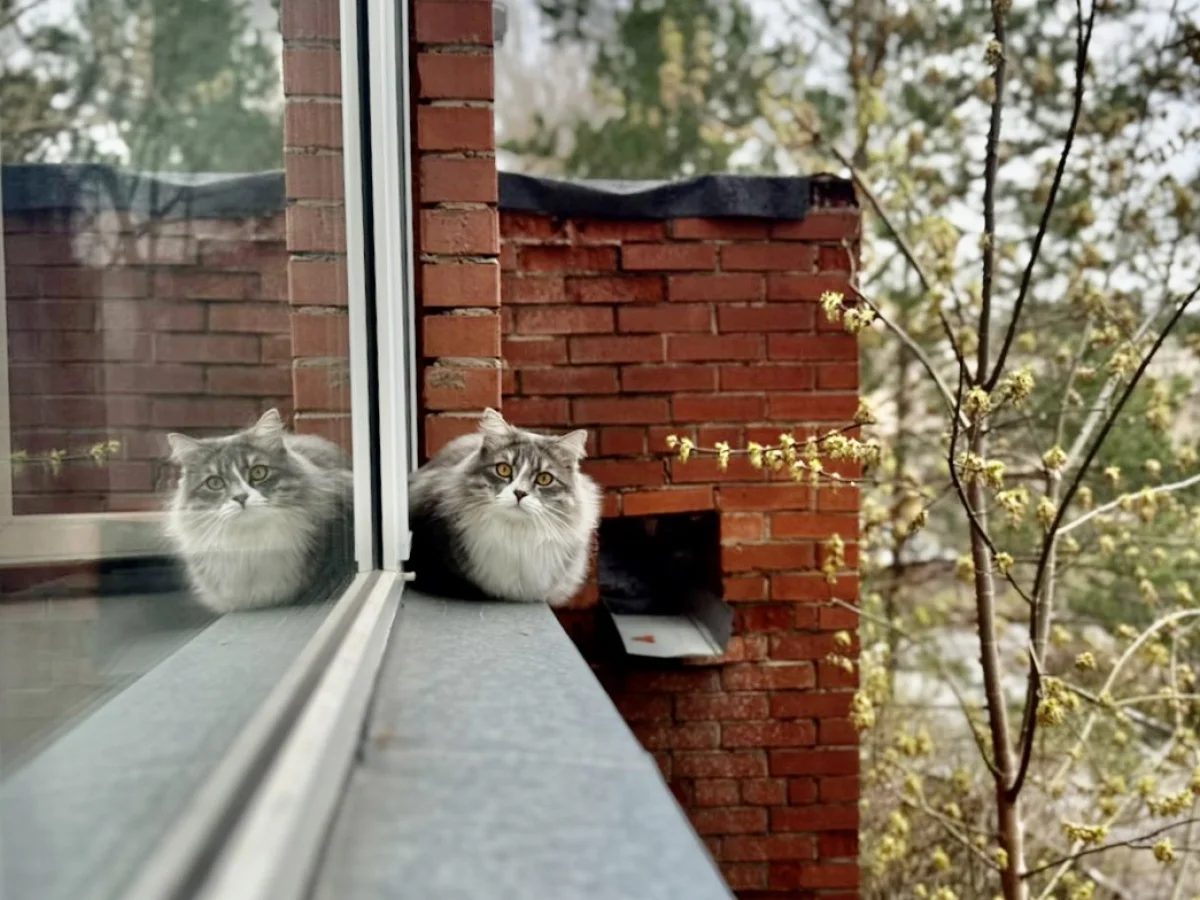 Пасмурно и дождливо: прогноз погоды на три дня