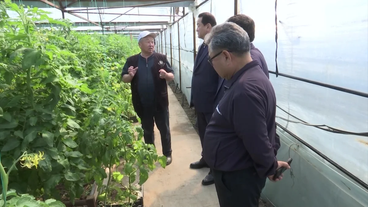 «Ауыл аманаты» ауыл кәсіпкеріне мүмкіндік ашты: Қазығұрттағы табысты жоба