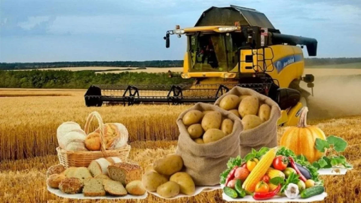 Производство продуктов в Казахстане резко выросло, объем превысил 665 млрд тенге