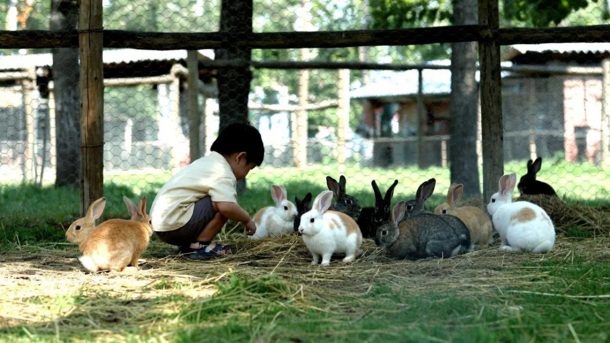 Ребёнок забежал в вольер в зоопарке Шымкента, посетителей привлекли к ответственности