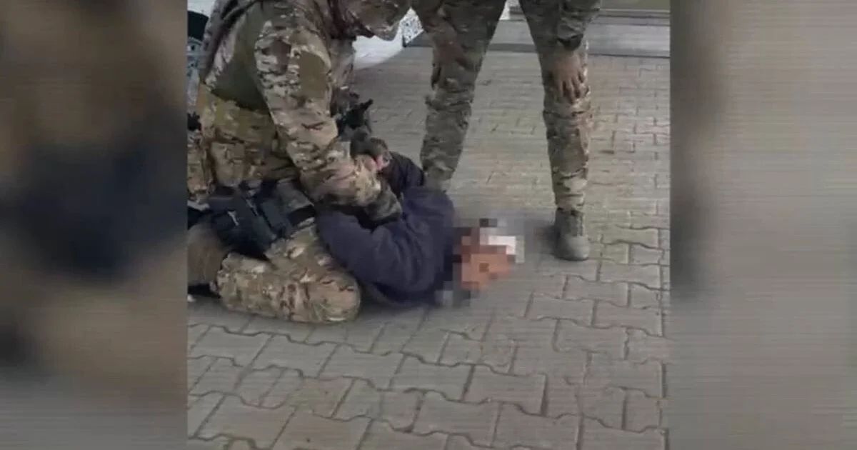 ІІМ мал ұрлығымен айналысқан ұйымдасқан қылмыстық топты ұстады