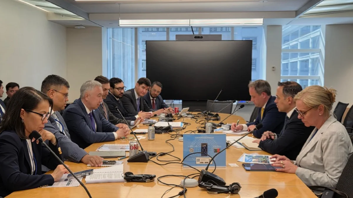 В большой тройке мировых рейтинговых агентств обсудили конституционную реформу Казахстана