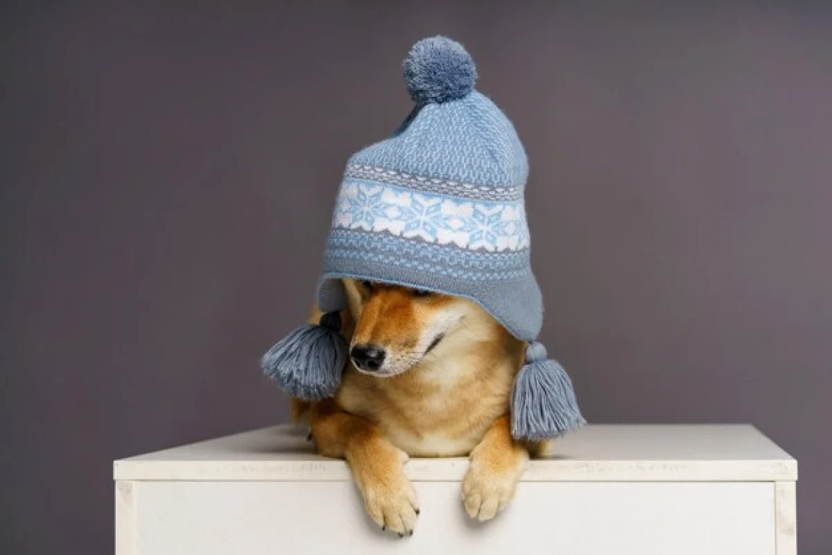 Морозы и потепление: о погоде на выходных рассказали синоптики