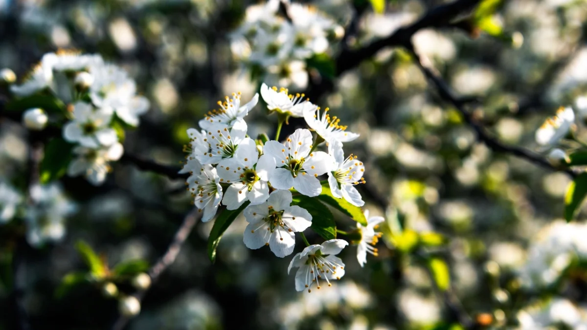 Прогноз погоды на 19 апреля 2026 года в Казахстане