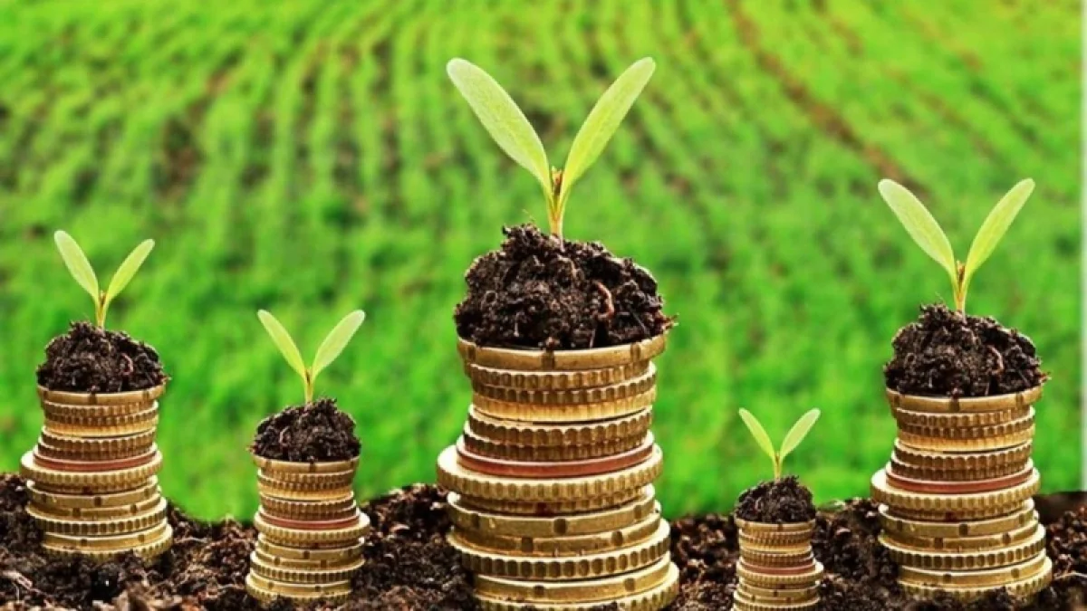 256 фермерге 8,2 млрд теңге жеңілдетілген несие берілді