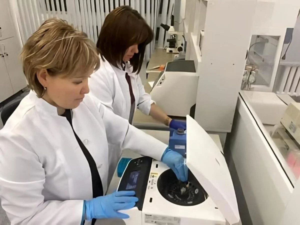 Қазақстандық ғалымдар өнімділікті 10 ц/га дейін арттыратын құрғақшылыққа төзімді сорттарды патенттеді