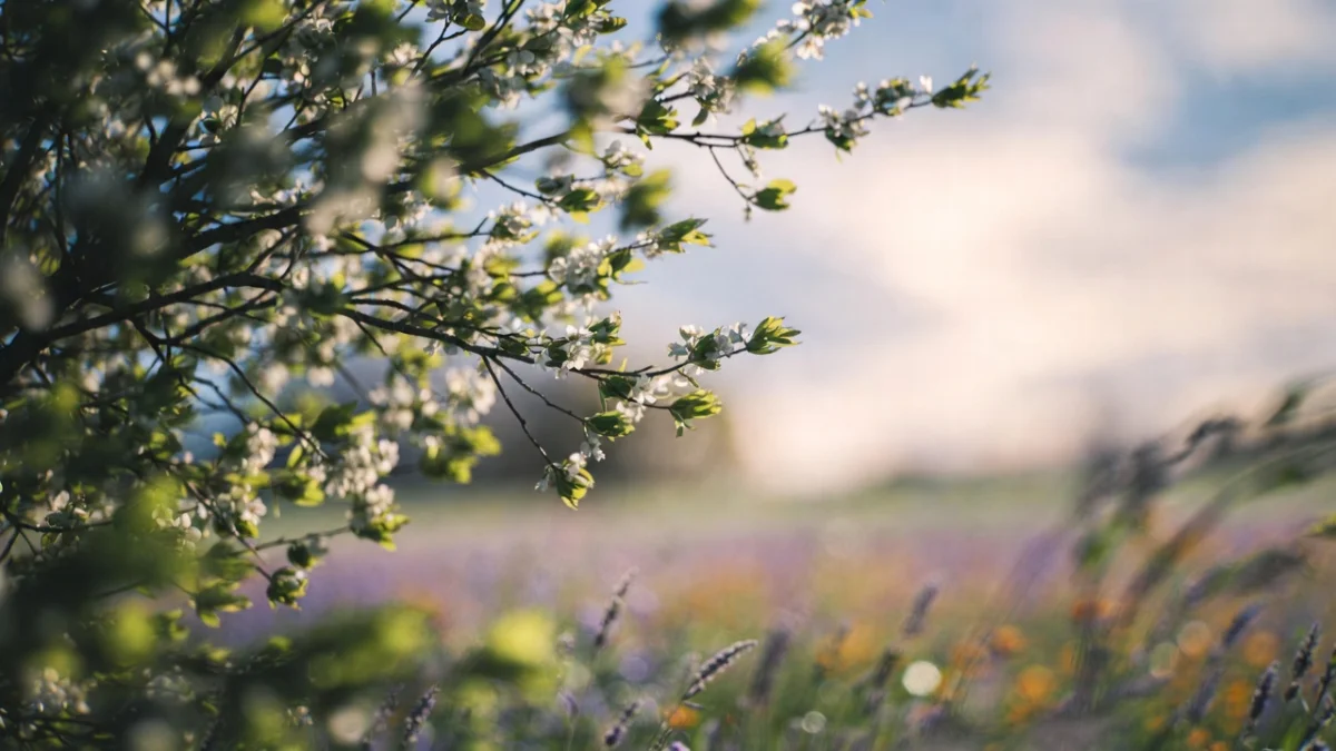 Погода в мегаполисах Казахстана 21 апреля 2026 года - что прогнозируют синоптики