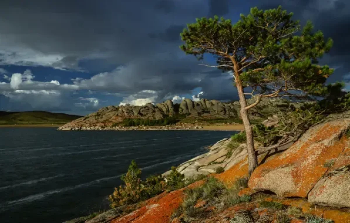 Женщину спасли из болота в Баянауле