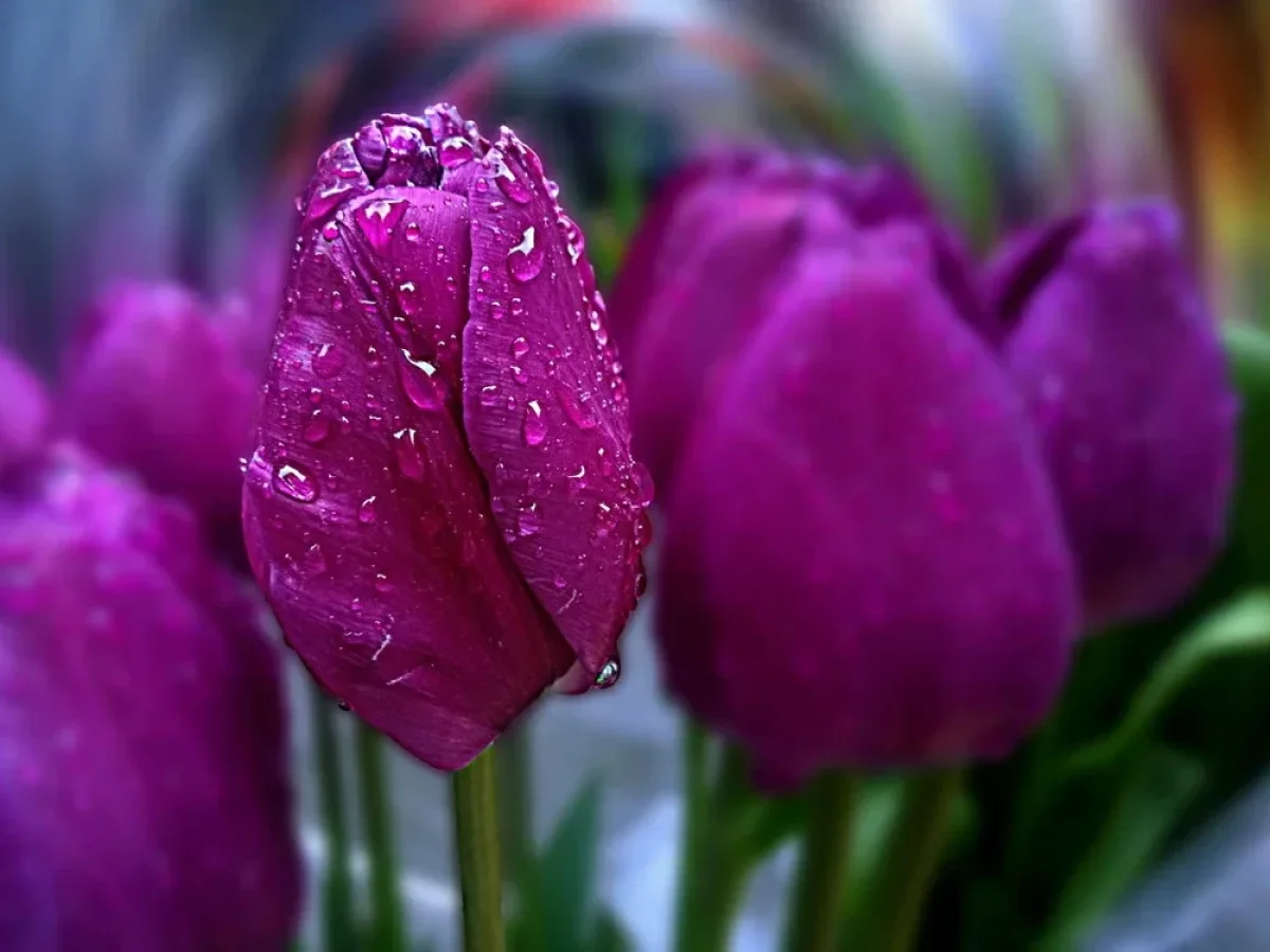 Грозы в Астане и Шымкенте, +25 в Алматы: погода в среду, 22 апреля