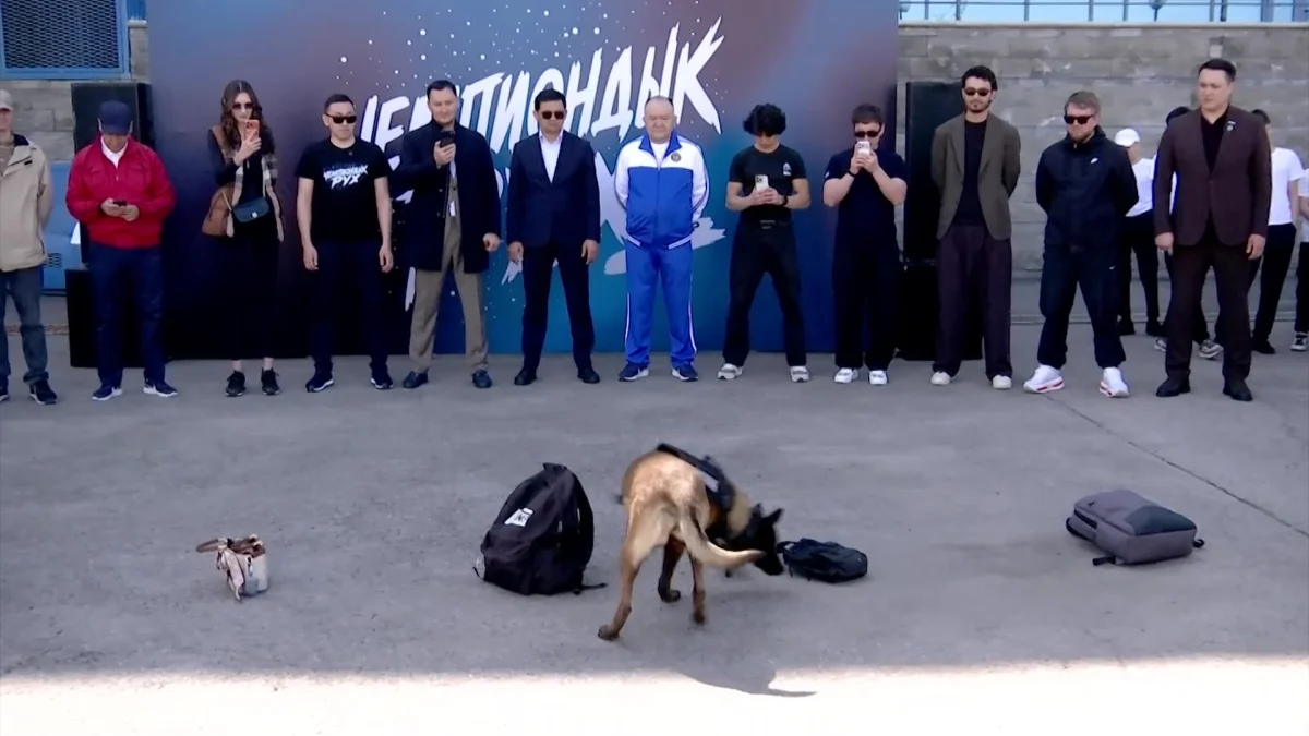 Молодым алматинцам напомнили о вреде наркотиков в рамках проекта «Чемпиондық Рух» партии «Amanat»