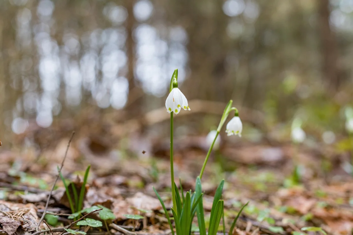 Жаңбыр, найзағай: бүгінгі ауа райы болжамы