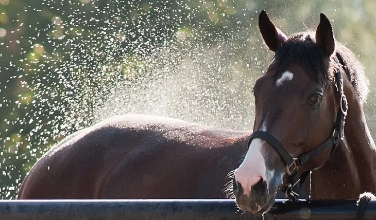 Грозы прогремят в двух мегаполисах Казахстана в пятницу, 24 апреля