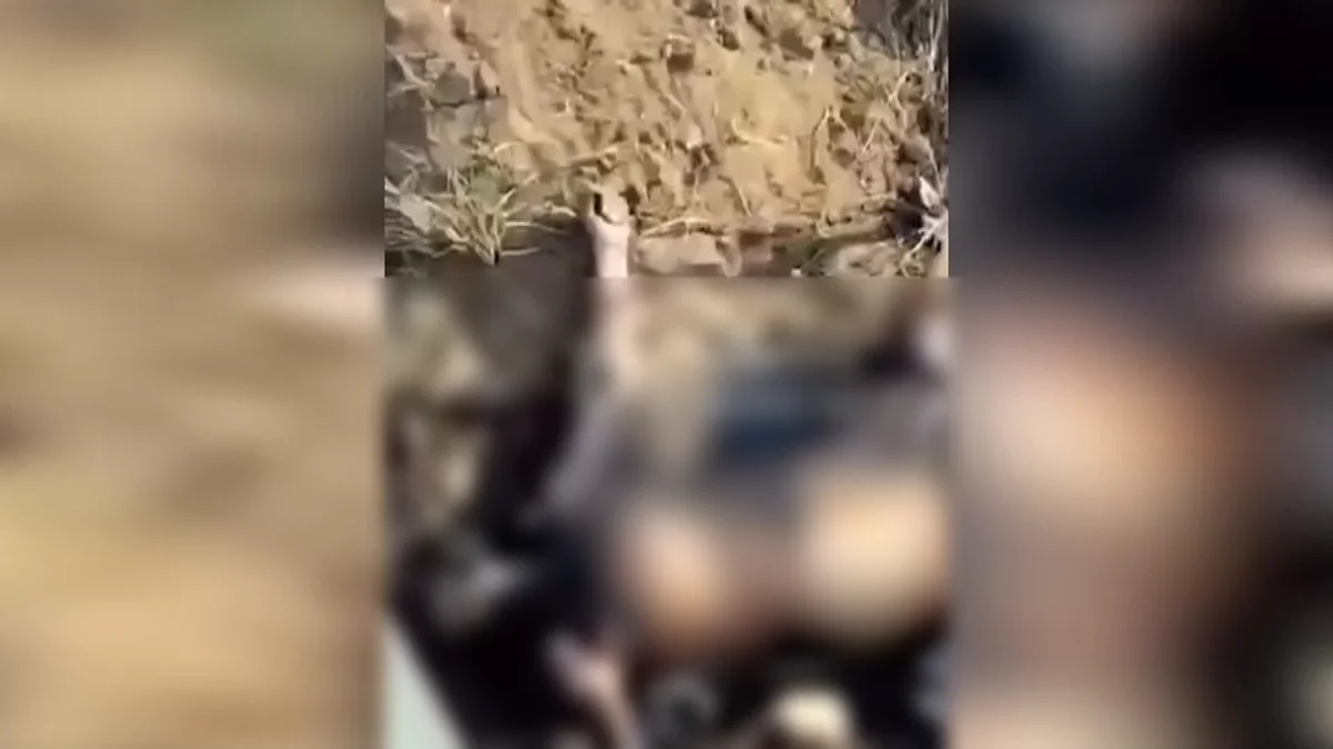 Ақсу қаласында жартылай өртелген әйел адамның мәйіті табылды