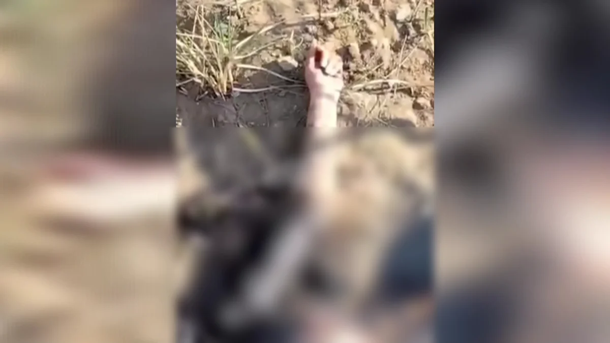 Тело женщины нашли в Павлодарской области