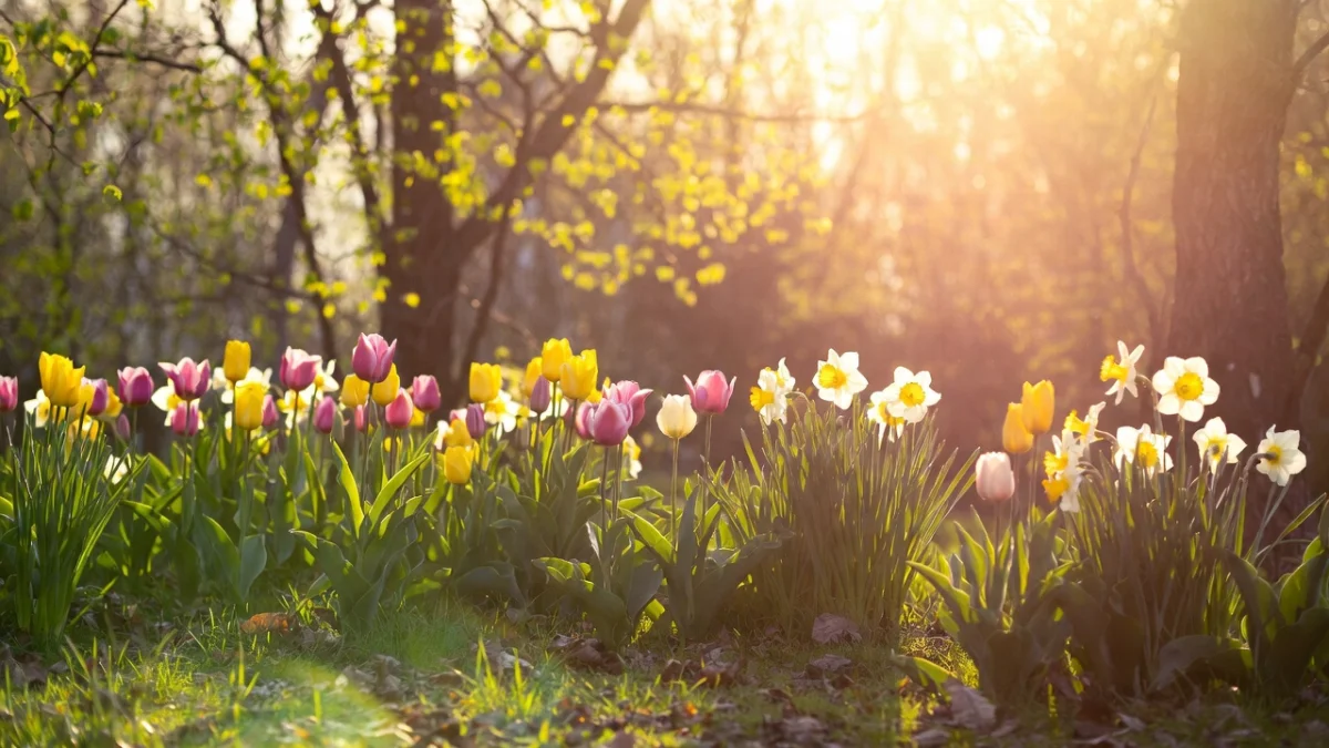 Казгидромет прогнозирует переменчивую погоду в Астане, Алматы и Шымкенте 25 апреля 2026 года