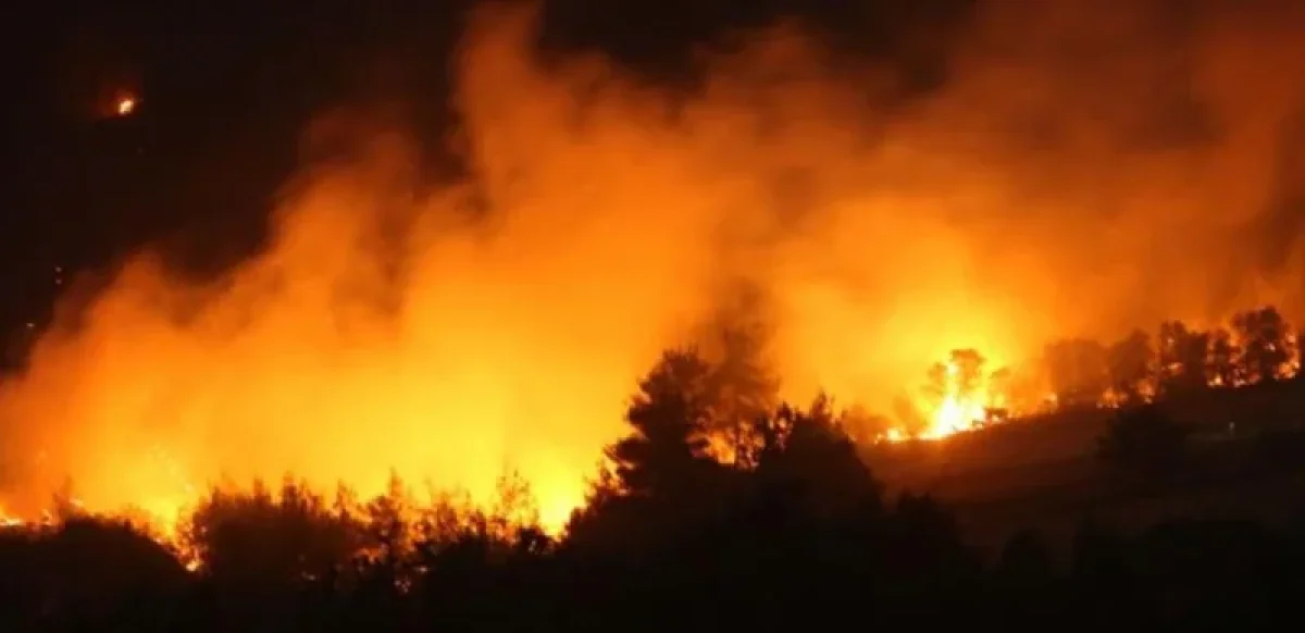 Жапонияда орман өртеніп жатыр: тұрғындар үйін тастап кетті