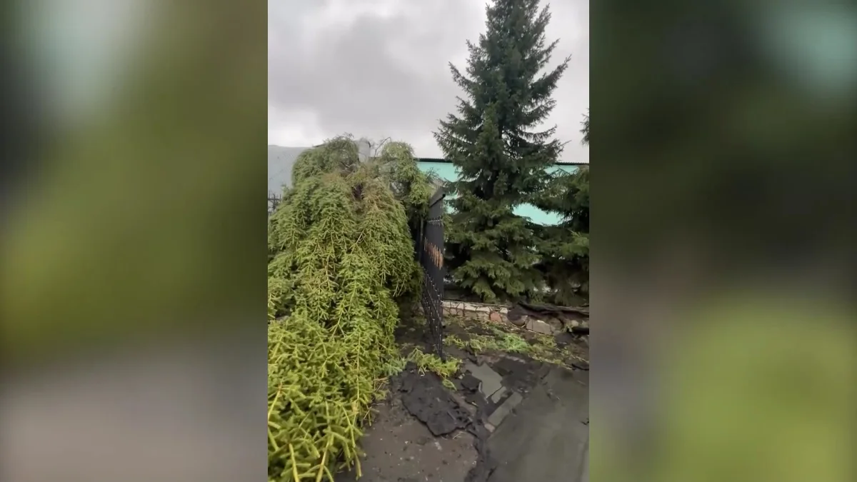 Две женщины пострадали из-за урагана в Павлодарской области