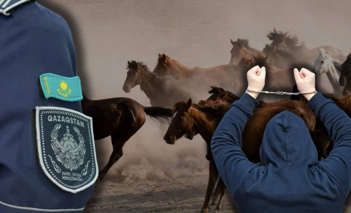Контрабанду скота пресекли в Туркестанской области - из страны пытались вывезти почти тысячу животных (ВИДЕО)