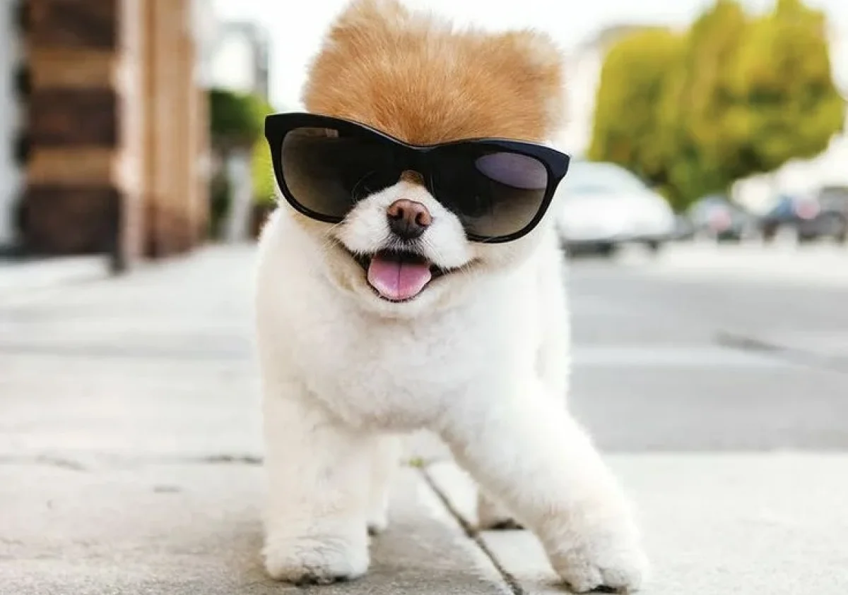 Погода без осадков ожидается в мегаполисах в четверг, 30 апреля