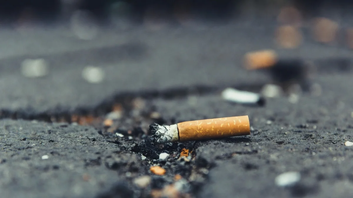 За окурок у здания полиции житель Шетпе получил 40 часов общественных работ