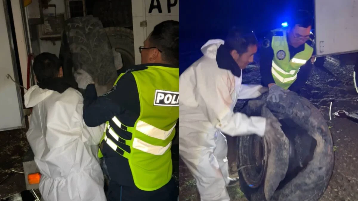 Полицейские в Мангистауской области помогли водителю на ночной трассе (ВИДЕО)