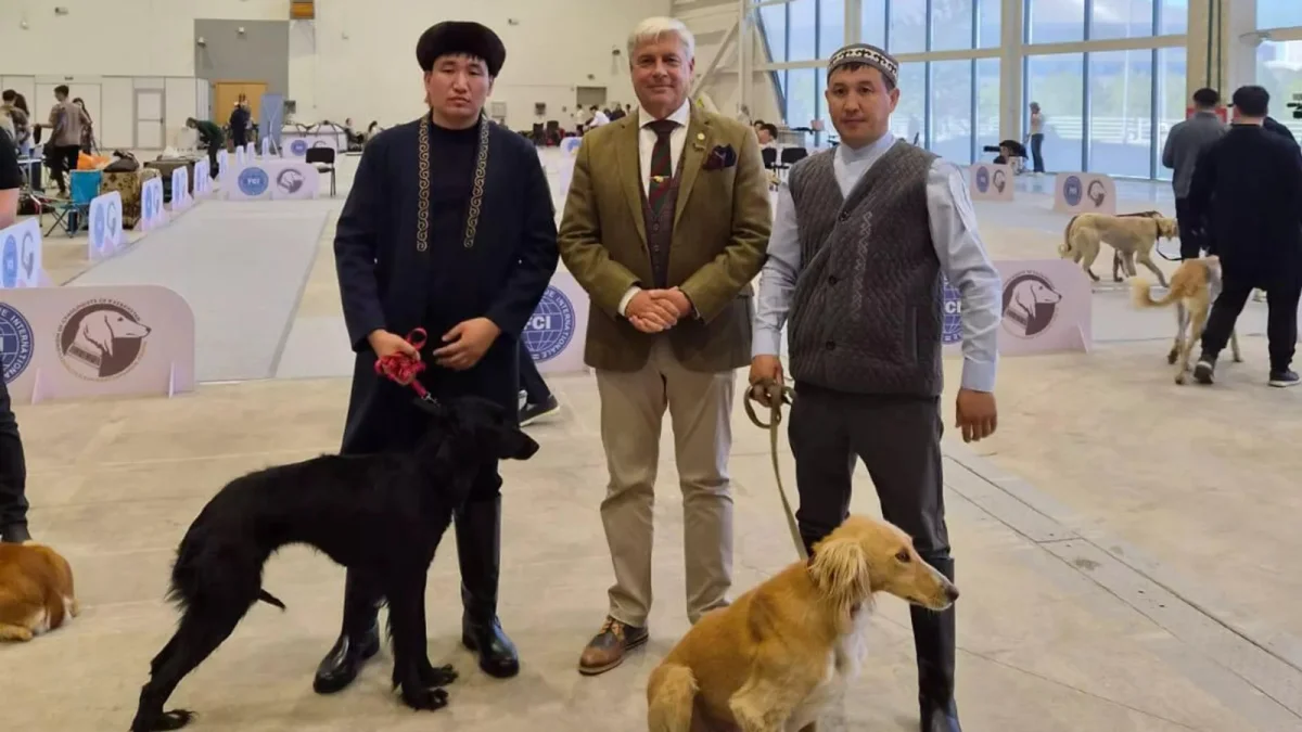 Астанада «Қазақы тазы» тұқымының көрмесі өтті